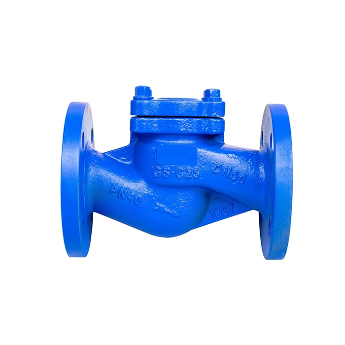 DIN Standard Cast Iron Lift Type Check Valve