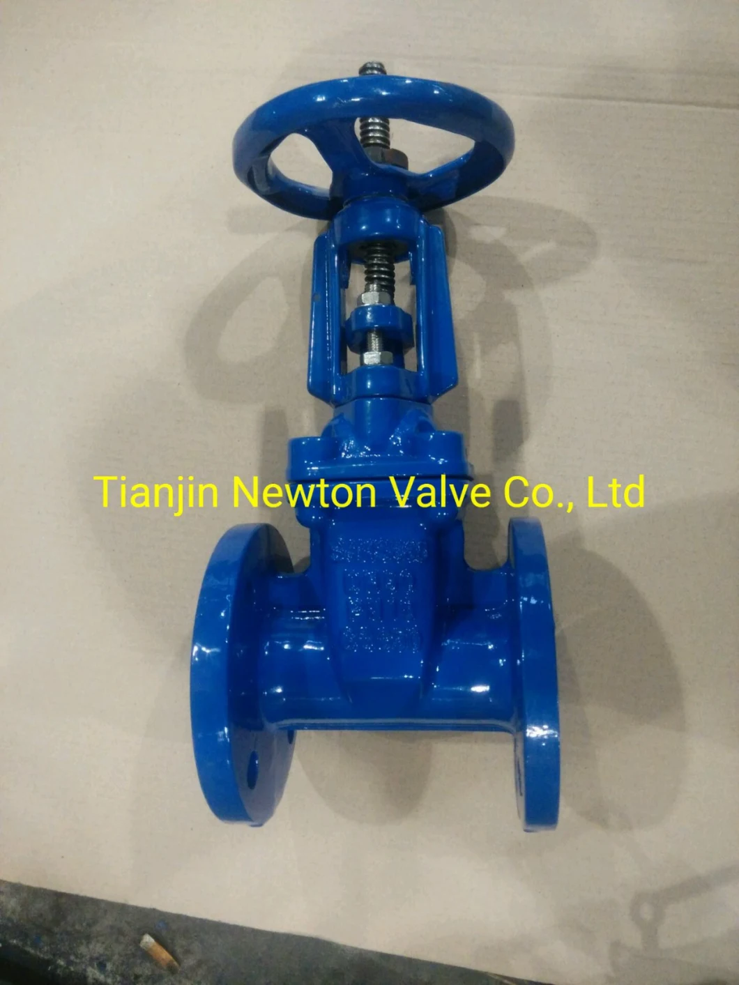 BS5163 Awwa C515 C509 DIN3202 F4 F5 GOST Kr JIS as Wras CE Ggg40/50 Ductile Cast Iron Resilient Rubber Seat Seated Double Flange Flanged Wedge Water Gate Valves