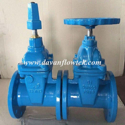 DIN3352 F4/F5 BS5163 Awwa C504 C519 JIS2602 Aus Standard Rubber Wedge Resilient Seat Gate Valve