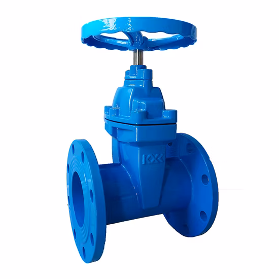 Made in China Hot Selling Cast Iron Pressure Pn10/Pn16 Seal Gate Valve