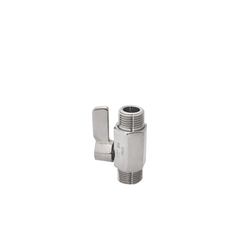 Water Fittings Mini Ball Valve Double Male Thread with Stainless Steel Handle