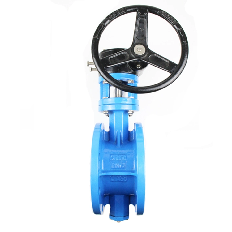 DN100 150lb A216wcb Flanged Wafer Type Lugged Ends Triple Offset Double Butterfly Valve CF8m